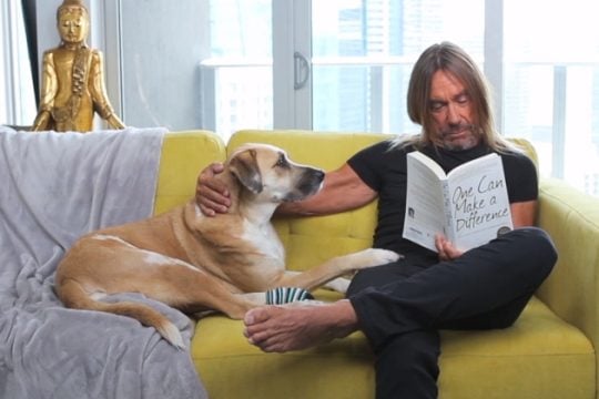 Νέος Iggy με συνεργασία έκπληξη
