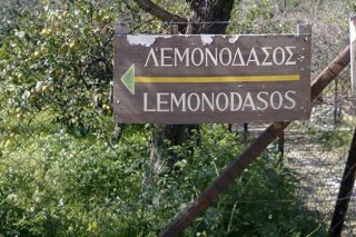 Θετικά νέα για το Λεμονοδάσος στον Πόρο