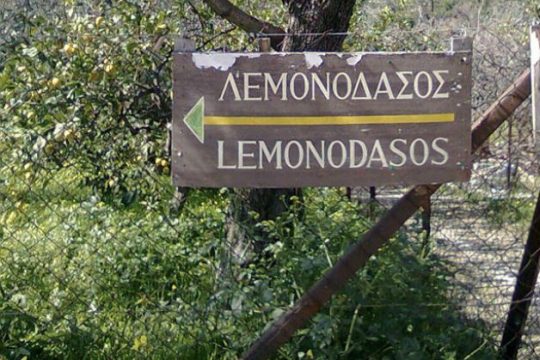 Θετικά νέα για το Λεμονοδάσος στον Πόρο