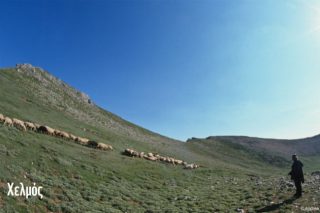 Το μεγαλύτερο πρόγραμμα LIFE για την προστασία της ελληνικής φύσης