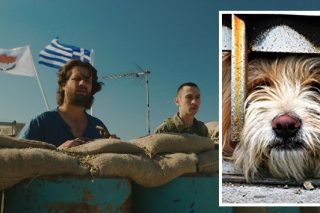 Ενα σκυλάκι αναστατώνει την Πράσινη Γραμμή