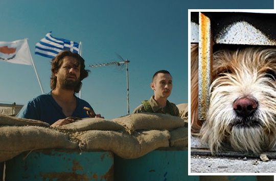 Ενα σκυλάκι αναστατώνει την Πράσινη Γραμμή