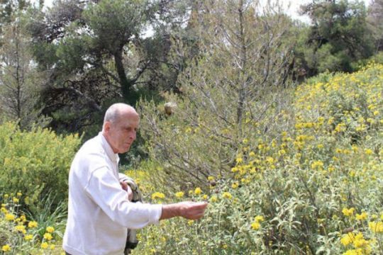 Πέθανε ο αρχαιολόγος Αντώνης Α. Ζώης