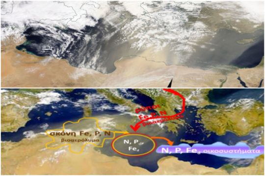 «Η αφρικανική σκόνη είναι καθοριστική για την ανάπτυξη της θαλάσσιας και χερσαίας χλωρίδας»
