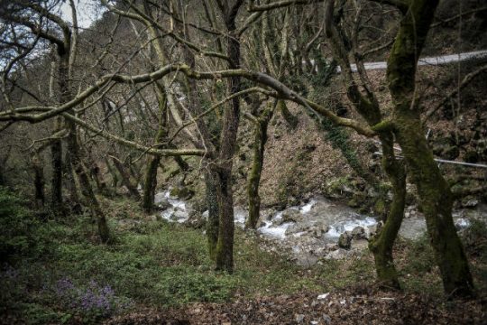 Προσωρινοί πίνακες για 5.066 θέσεις στην αντιπυρική προστασία