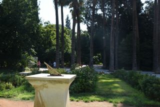 «Βόλτα στον κήπο…»