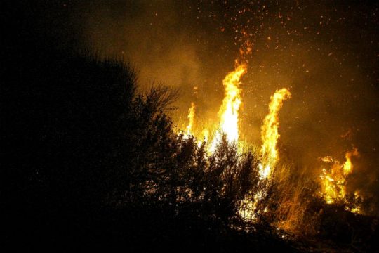 Πυρκαγιά στα Αμπέλια Αγρινίου