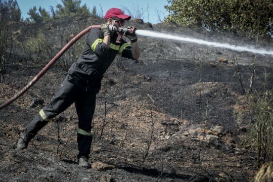 Πυρκαγιά στη Νέα Μάκρη