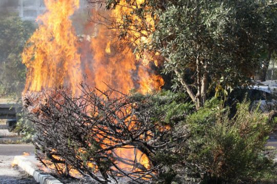 Σύλληψη εποχικού υπαλλήλου του Δήμου Αθηναίων για εμπρησμούς