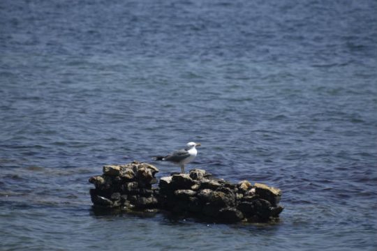 Ζέστη στα κεντρικά, συννεφιά στα βόρεια