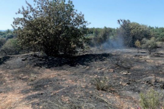 Στάχτη παραπήγματα μεταναστών στη Νέα Μανωλάδα