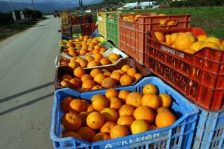 Φρέσκος χυμός για τους επιβάτες, στήριξη για τους καλλιεργητές