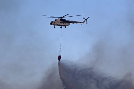 Δασική πυρκαγιά στην Ασωπία Βοιωτίας