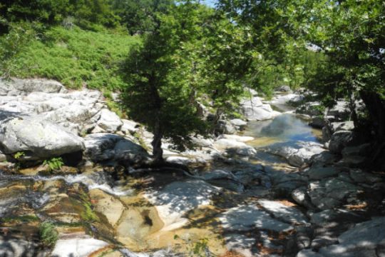 Η Σαμοθράκη επενδύει στη βιώσιμη ανάπτυξη