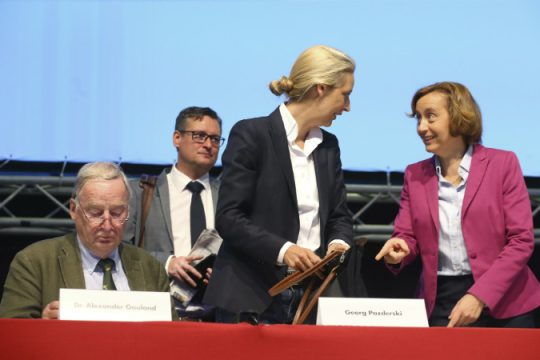 Στην αναμπουμπούλα το… AfD χαίρεται