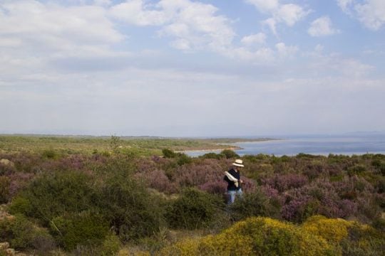 Αρωμα από μοβ και κόκκινα άνθη