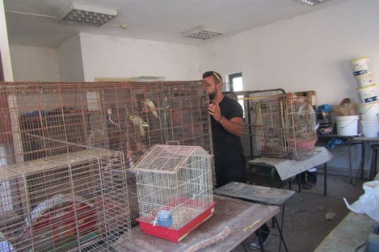 Υποσιτισμένα και ασυλοποιημένα τα ζώα στον χώρο του ΕΚΠΑΖ