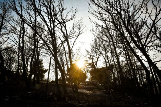 Από το εθνικό πένθος στον πολιτικό θρήνο;