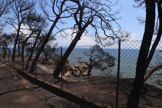 Φαύλος κύκλος