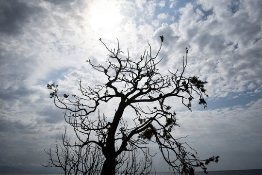 Πάνω πάνω το μαχαίρι