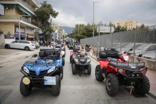 «Ασυλία» ξανά για τις «γουρούνες»