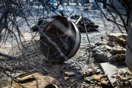 Ποιο είναι άραγε το πιο άγριο ζώο; Ο λύκος, η αρκούδα ή ο άνθρωπος;