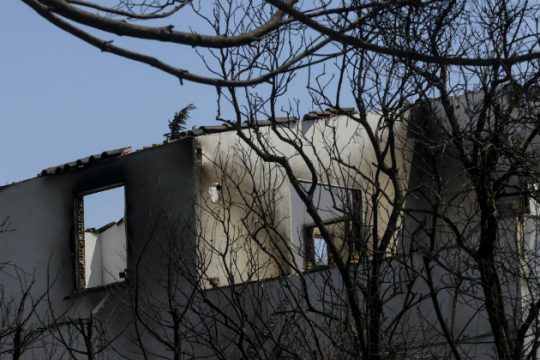 Δεν είμαστε χρυσόψαρα…