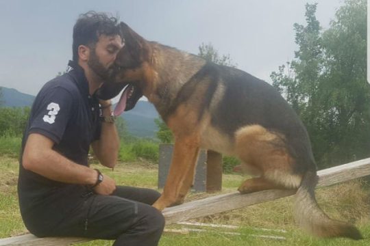 Οργή για τη φόλα στον σκύλο – ήρωα του Αματρίτσε