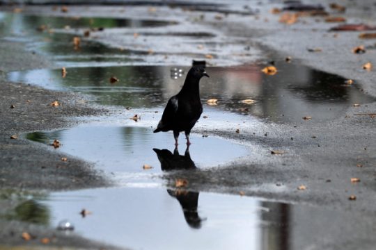 Βροχές και τοπικές καταιγίδες