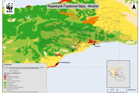 Τεράστια και η οικολογική καταστροφή στην Αττική