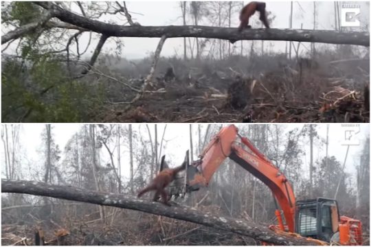 Τέλος εποχής στα καταστροφικά έργα μαζικών υποδομών;