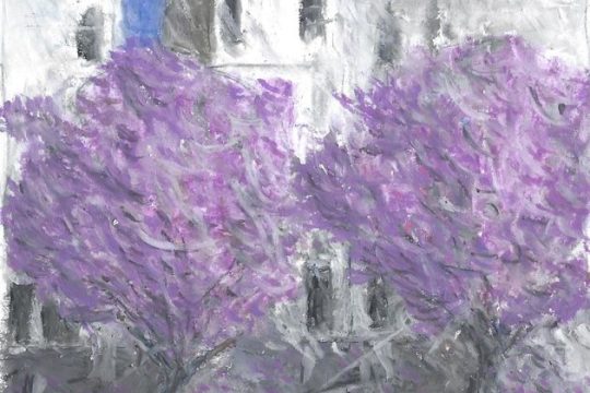Τα εφήμερα χαλιά της πόλης