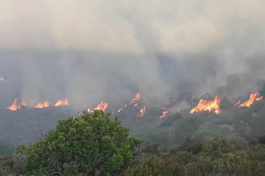 Υπό έλεγχο οι δύο πυρκαγιές στα Χανιά