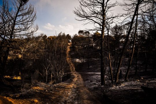 Ποιος φταίει; (μαρτυρία και αυτοκριτική ενός αρχιτέκτονα)
