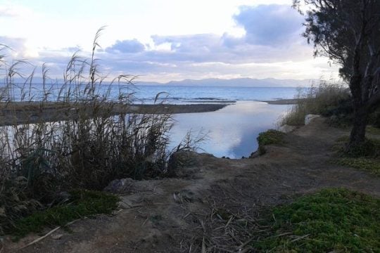 Ανοιχτές παραλίες και ρέματα