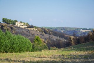 Η «πονεμένη» ιστορία των δασικών χαρτών