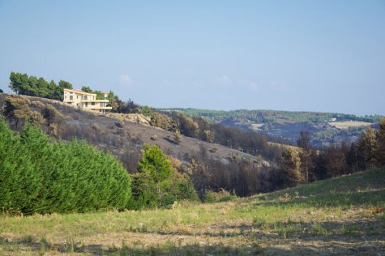 Η «πονεμένη» ιστορία των δασικών χαρτών