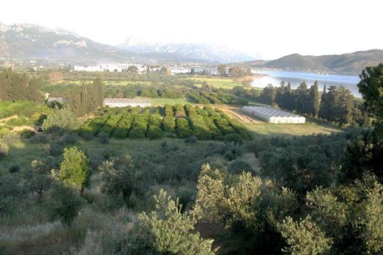 Ρημάζει ο Δενδροκομικός Σταθμός Πόρου