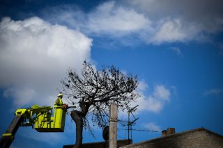 Ο κυβερνητικός απολογισμός για τις φωτιές
