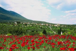 Γιορτές μνήμης στους πρόποδες της Γκιώνας