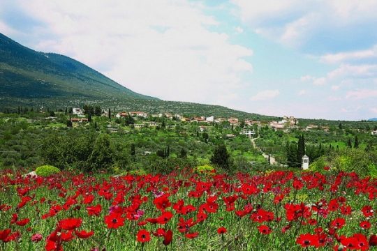 Γιορτές μνήμης στους πρόποδες της Γκιώνας