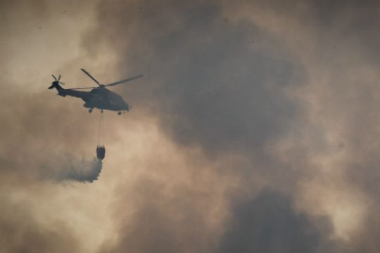 Πυρκαγιά στη Βραυρώνα Αττικής