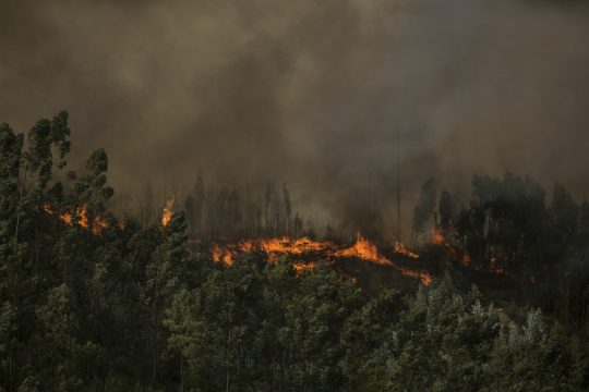 Ο καύσωνας υποχωρεί, οι πυρκαγιές επιμένουν