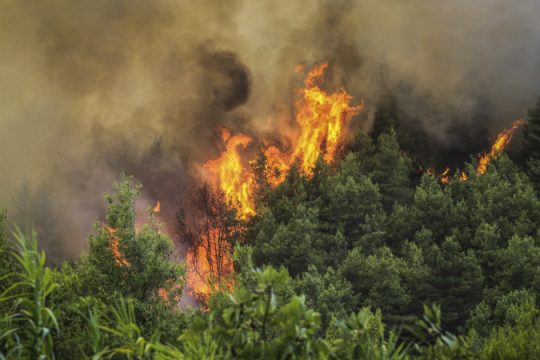 Πυρκαγιά στον Αποκόρωνα Χανίων