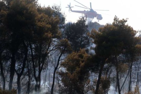 Οι εμπρηστές της 4ης Αυγούστου