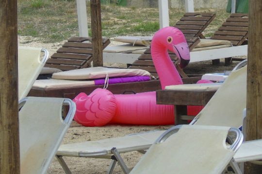 Αντίο φλαμίνγκο