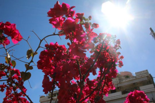 Λιακάδα σε όλη τη χώρα