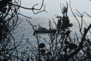 «Τυμβωρυχία που εξυπηρετεί τη Ν.Δ.»