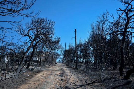 Νέα μέτρα ενίσχυσης προς τους πυρόπληκτους