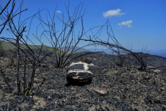 Στις 3.130 οι αιτήσεις πυρόπληκτων
